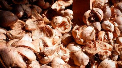 Coconut husks used for smoking meat on a Bali street food tour