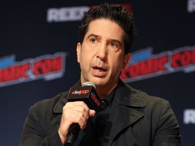 David Schwimmer