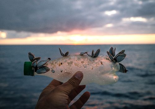 Single use plastic is the most obvious offender. Some researchers believe it takes 450 years for a single plastic bottle to decompose in the ocean.