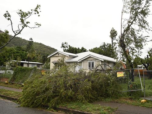 A tree is shown knocked over by strong winds on January 26, 2024 in Townsville, Australia