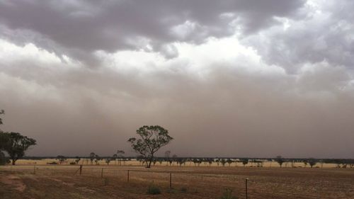 The dust cloud in the Mallee region this afternoon. (Twitter/Brett Hosking)