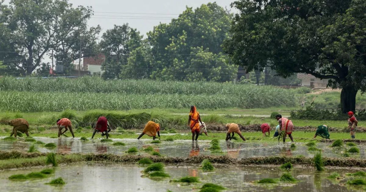 A farmer found what looked like a buried doll. Then her fingers moved