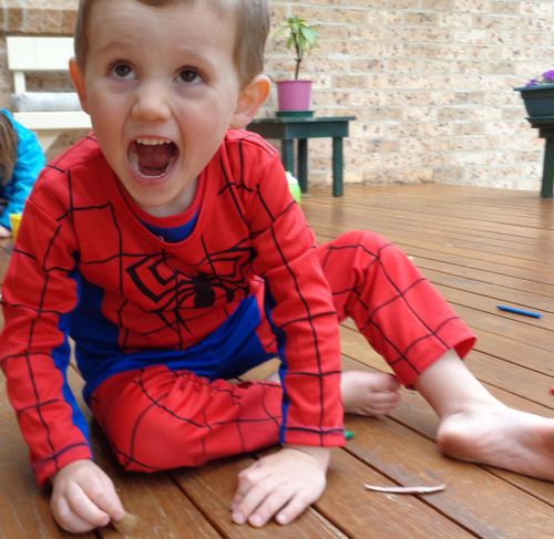 William in his Spiderman costume, which he was wearing the day he vanished. (AAP)