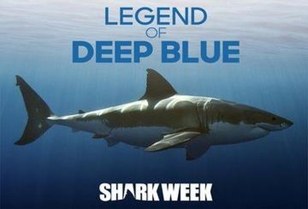 Legend Of Deep Blue