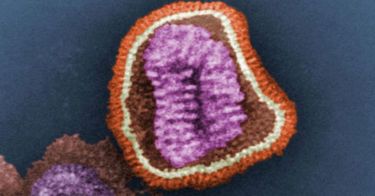 Nearly 26,000 flu cases recorded as doctors warn horror season is looming