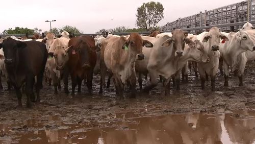 North-west Queensland Cloncurry regional flooding