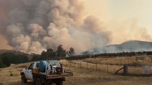 Many apple orchards are believed to have been destroyed in Batlow.