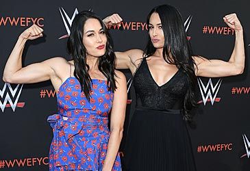 Which WWE title have Brie and Nikki Bella both held?