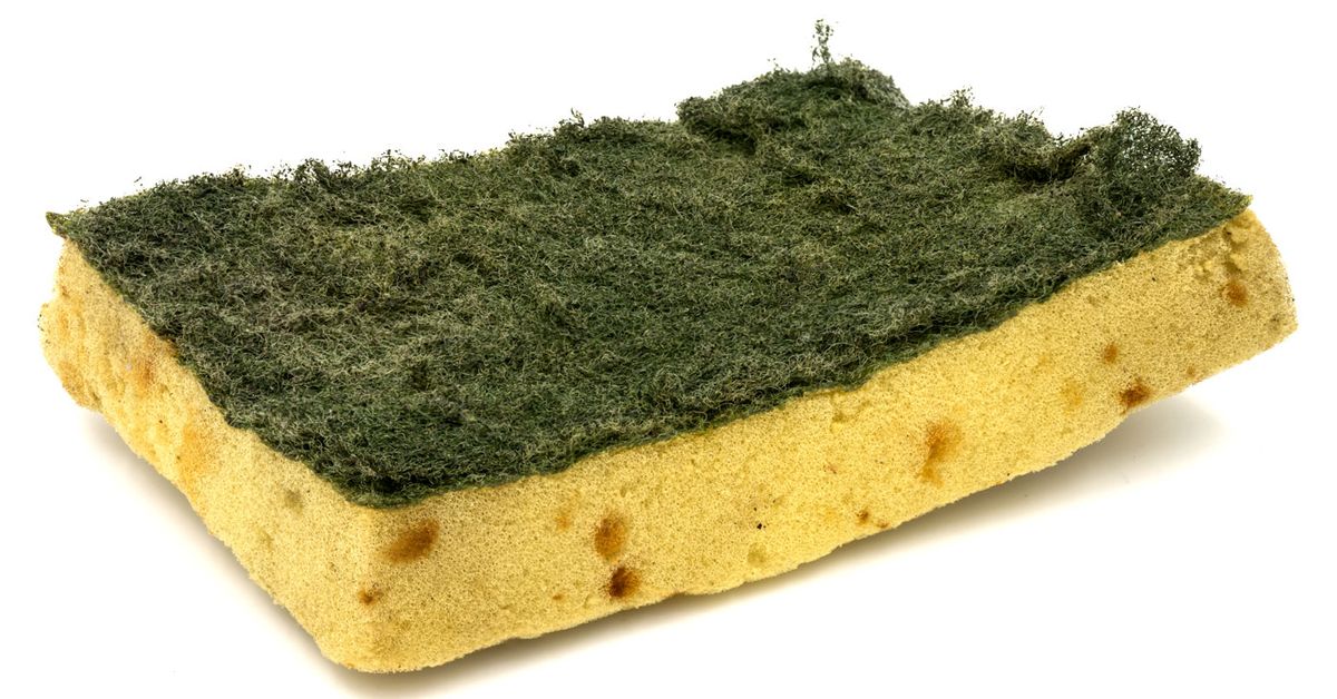 The Surprising Structural Reason Your Kitchen Sponge is Disgusting