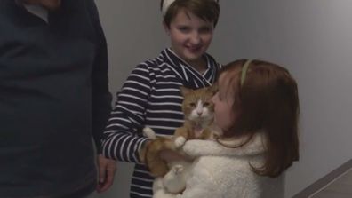 Cat lost during family's cross-country move found trapped in couch after three weeks