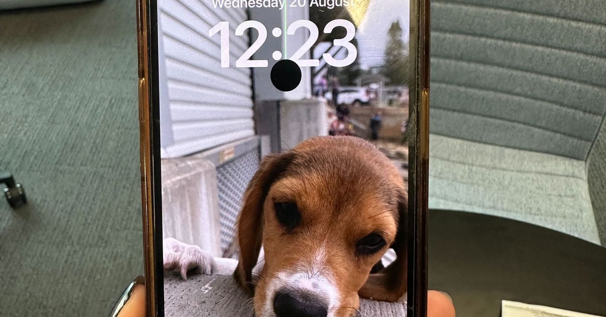 Your phone might have 'cancer' - but it's not what you think