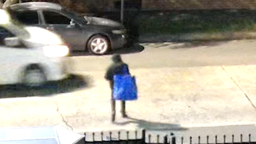 Belmore stabbing