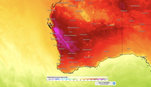 Forecast surface air temperature on Thursday afternoon, according to the ECMWF model.