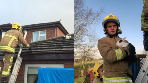 Firemen forced to rescue bunny blown onto roof as storms batter UK