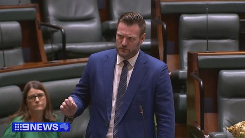 Mr Groth has threatened legal action against Labor MP Mary-Anne Thomas following her commentary on the matter.