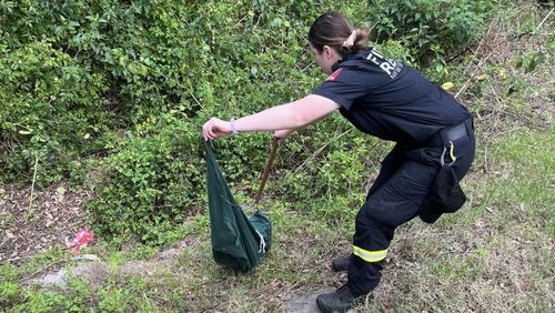 A Fire and Rescue NSW crew became engaged in a real-life game of snakes and ladders today, trying to catch a slippery serpent on the loose in Sydney's south.The crew from Menai fire station was called to Gymea Bay Road around 8am following reports of a snake inside a house.
When firefighters arrived, the two-metre diamond python raced out of the home and into a tree in the backyard.