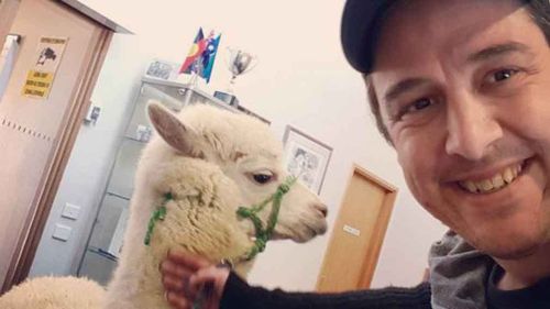 Samuel Johnson with Hercules the llama (or is it an alpaca?). (Instagram)