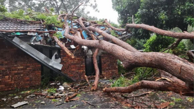 Former Olympian, Brooke Hanson's family home destroyed by cyclone Alfred