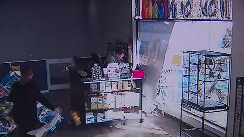 The driver accidentally reversed into the pet store in Adelaide's southern suburbs. Picture: 9NEWs