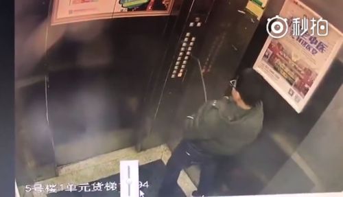 The boy was caught on CCTV urinating on the lift control panels. (Supplied)