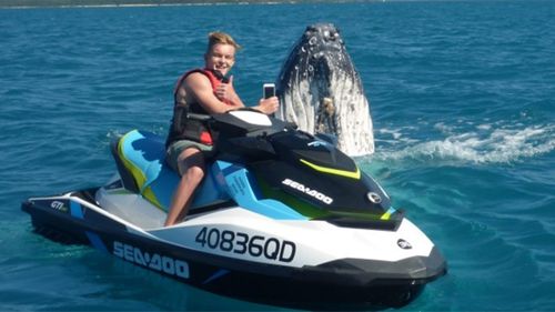 Mr Poland with the whale. (Whitsunday Jetski Tours)