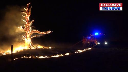 Many residents sought shelter in relief centres from the bushfires. (9NEWS)