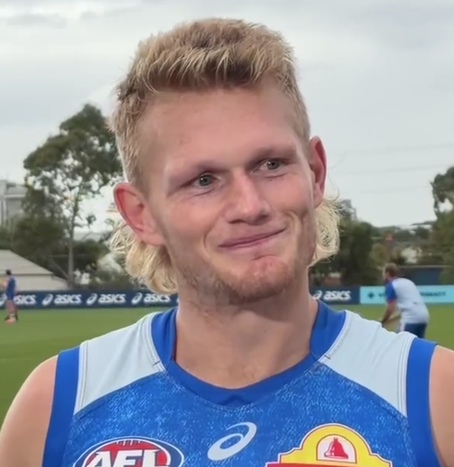 Western Bulldogs player Adam Treloar