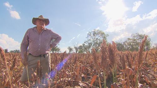 The Whiteley family farm in Warren, 500 kilometres from Sydney, has been hit hard over the last few years.