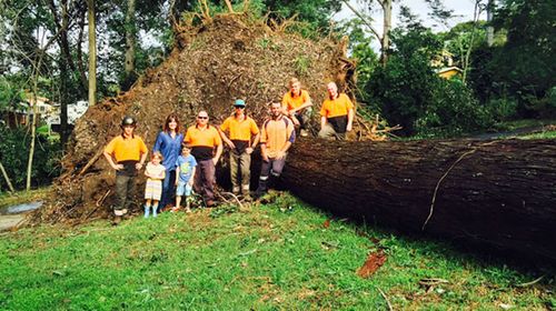 The 80m blackbutt tree damaged the roof of the Wicks' family home, causing water damage and mould to grow.