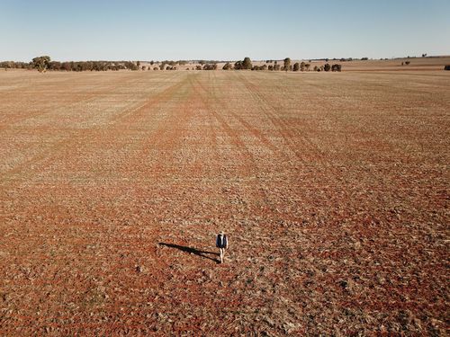 Battling farmers are struggling to keep afloat as produce levels rapidly decrease.