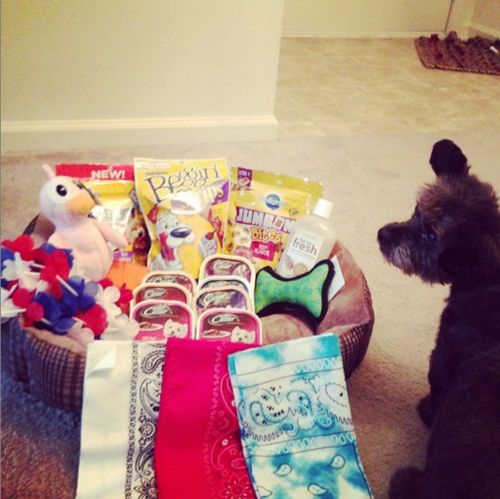 With the spoils of his shopping spree. (Instagram @chestersfinaljourney)