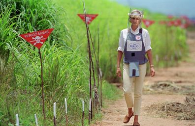 The couple will be continuing the work of Princess Diana, to keep people safe from land mines.