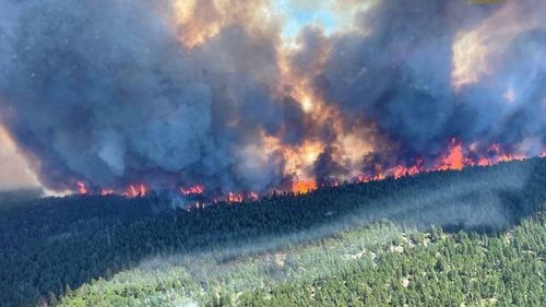 The Sparks Lake forest fire which NSW RFS Captain Chelsea Vargas is helping with in British Columbia.