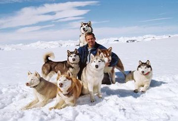 Eight Below
