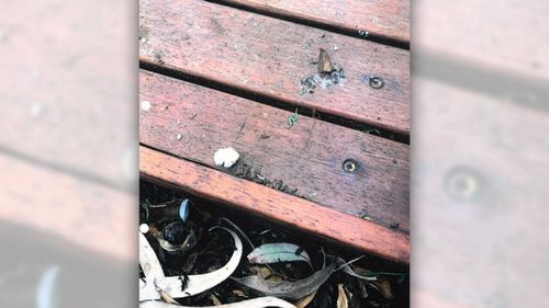 A neighbour complained about the mess the birds left on their deck.