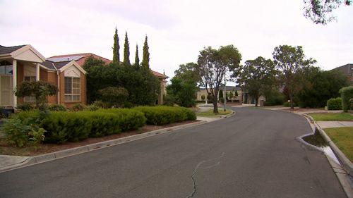 The trio entered Xiaoping's Cairlea home in Melbourne's west last year and covered her in a doona before ransacking her house. Picture: 9NEWS.