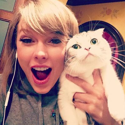 6. Surprise! It's Taylor Swift and her cat Meredith. Likes: 2.4 million. Comments: 54k.