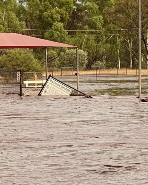 The dog park in the mining town of Tom Price was left underwater after the storms.