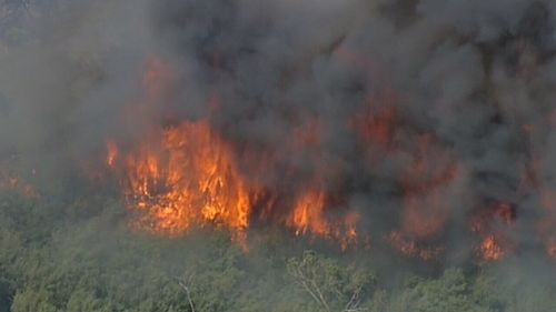 The fire broke out in scrubland at Blue Wren Rise. (9NEWS)