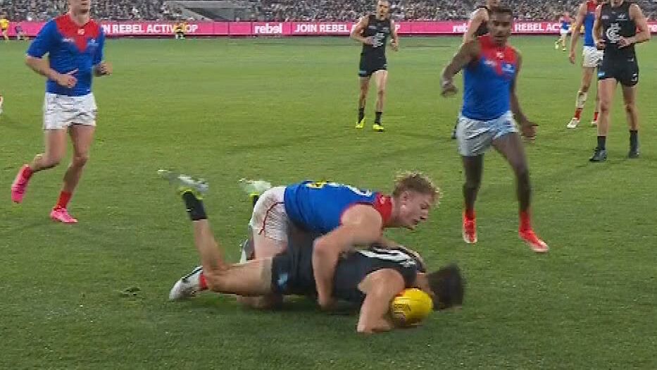 'That call is absolutely disgraceful': AFL divided over incident that 'cost Melbourne the game'