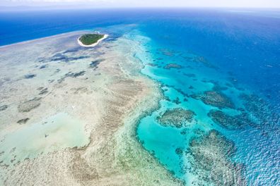 Queensland's Green Island is surrounded by 700 hectares of reef.