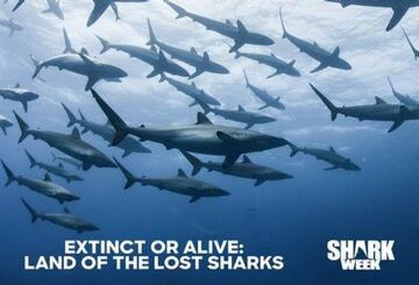 Extinct Or Alive Lost Sharks