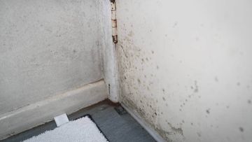 A Rotorua tenant has been awarded $2600 after enduring mouldy conditions while getting chemotherapy and looking after four young children (file photo).