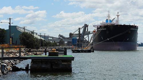 The varroa destructor was found on bees at the Port of Newcastle.