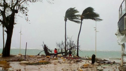 People walk by a fallen tree off the shore of Sainte-Anne on the French Caribbean island of Guadeloupe. (AP)