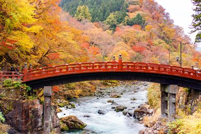 shinkyo bridge with yellow leaf