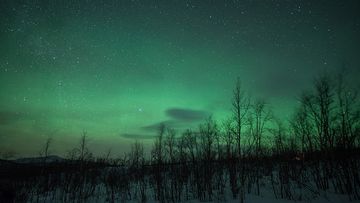 The best ways to make sure you don't miss the northern lights