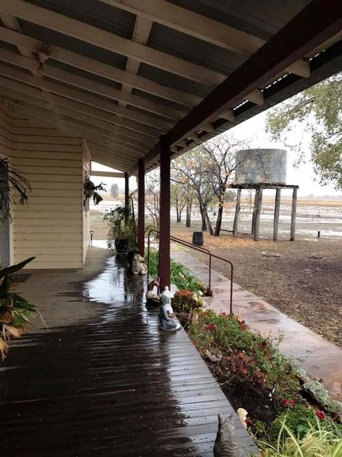 Sue Brassington from Eumungerie, NSW said: “We are very grateful for this liquid gold," after rain hit regional NSW