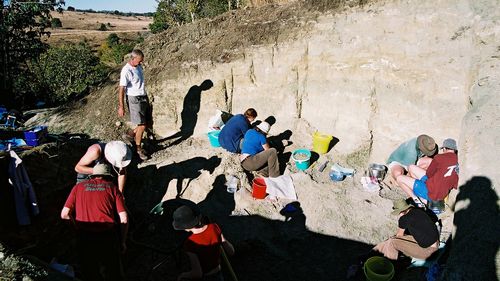 Equipes escavando fósseis de crocodilo em Murgon, Queensland.