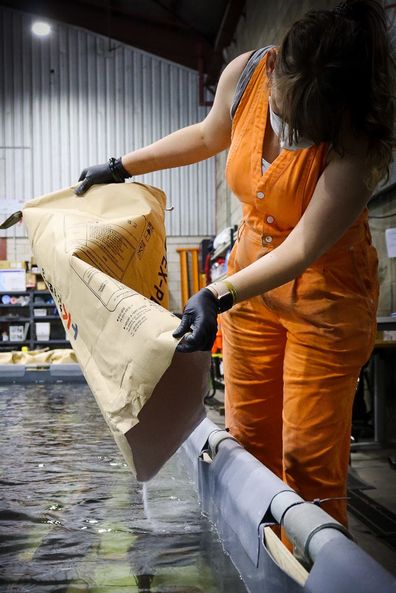 Heather Berry adds polyethylene glycol wax to a tank of wood as part of a shipwreck conservation treatment.